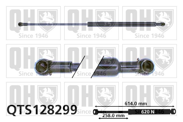 QUINTON HAZELL dujinė spyruoklė, bagažinė QTS128299